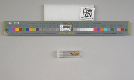 NSF ADBC EPICC TCN