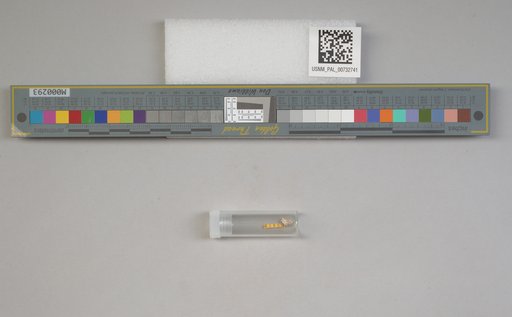 NSF ADBC EPICC TCN