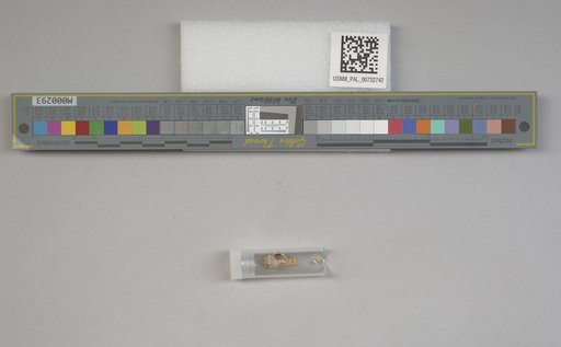 NSF ADBC EPICC TCN