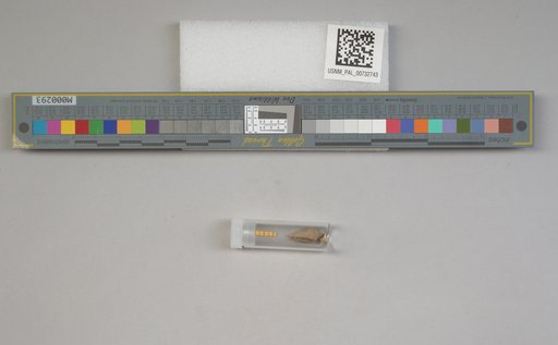 NSF ADBC EPICC TCN