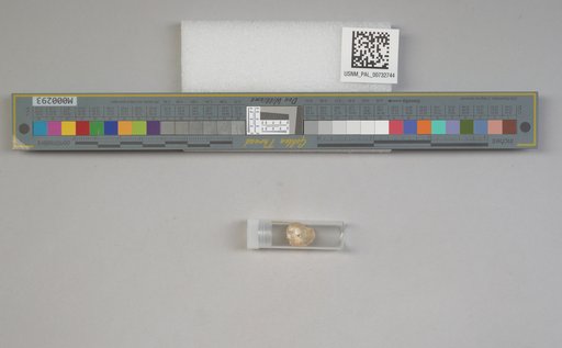 NSF ADBC EPICC TCN