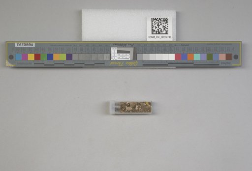 NSF ADBC EPICC TCN