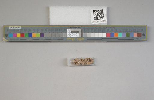 NSF ADBC EPICC TCN