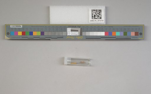 NSF ADBC EPICC TCN