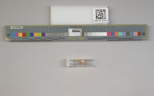 NSF ADBC EPICC TCN