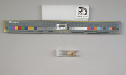 NSF ADBC EPICC TCN
