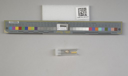 NSF ADBC EPICC TCN