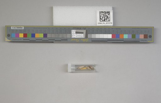 NSF ADBC EPICC TCN