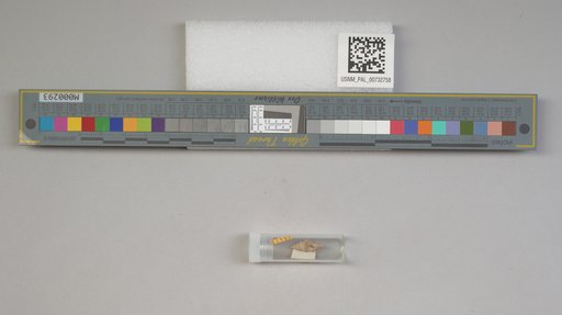 NSF ADBC EPICC TCN