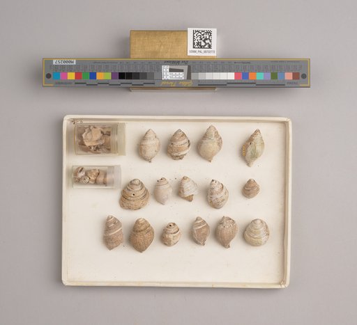 NSF ADBC EPICC TCN