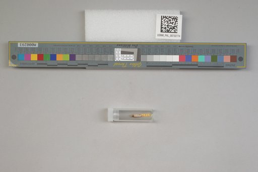 NSF ADBC EPICC TCN