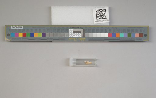 NSF ADBC EPICC TCN