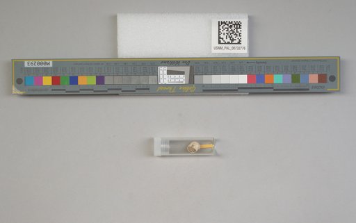 NSF ADBC EPICC TCN