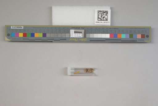 NSF ADBC EPICC TCN