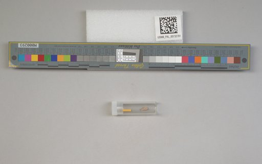NSF ADBC EPICC TCN