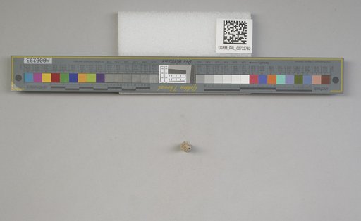 NSF ADBC EPICC TCN