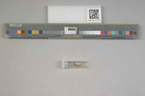 NSF ADBC EPICC TCN