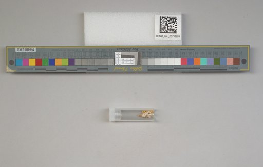NSF ADBC EPICC TCN