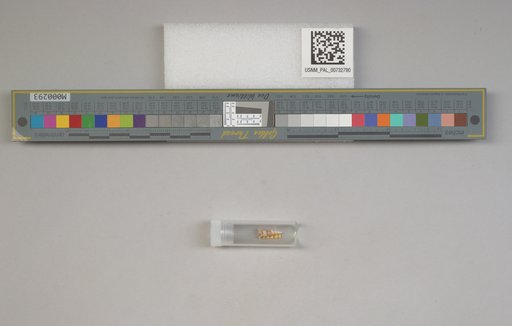 NSF ADBC EPICC TCN