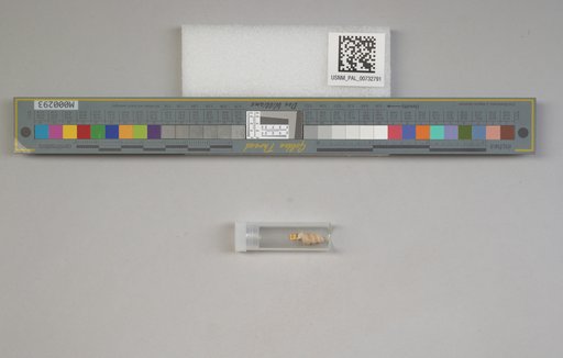 NSF ADBC EPICC TCN