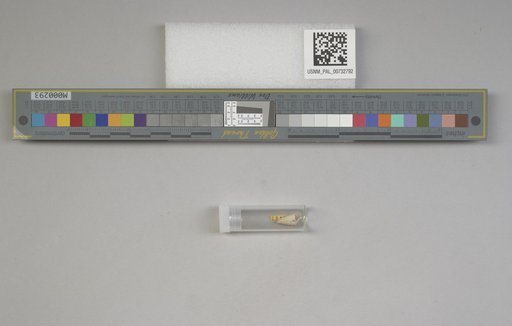 NSF ADBC EPICC TCN