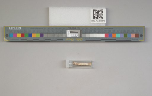 NSF ADBC EPICC TCN