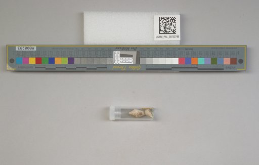 NSF ADBC EPICC TCN