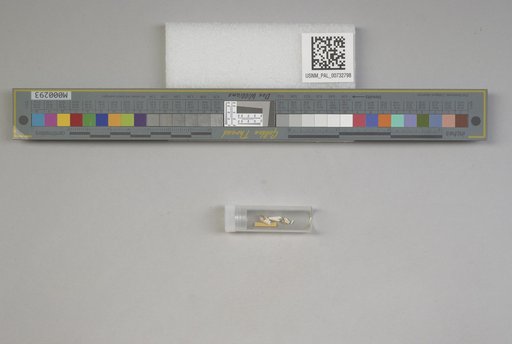 NSF ADBC EPICC TCN