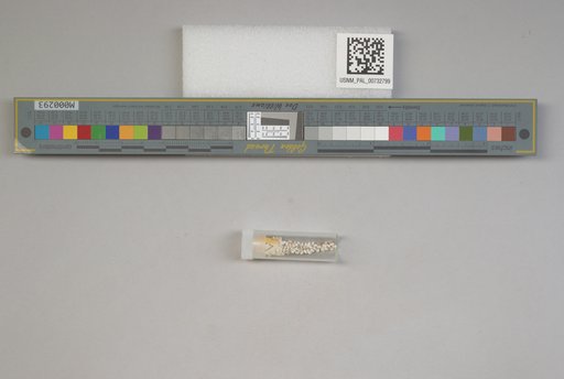 NSF ADBC EPICC TCN