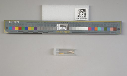 NSF ADBC EPICC TCN
