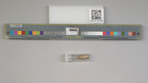 NSF ADBC EPICC TCN