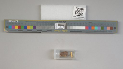 NSF ADBC EPICC TCN