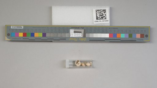 NSF ADBC EPICC TCN