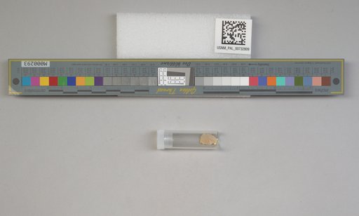 NSF ADBC EPICC TCN