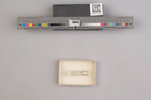 NSF ADBC EPICC TCN