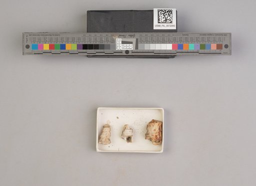 NSF ADBC EPICC TCN