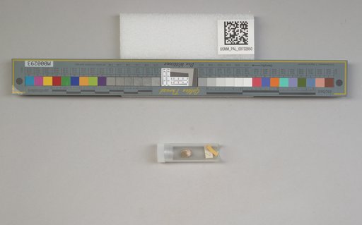 NSF ADBC EPICC TCN