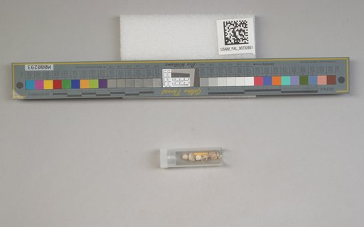 NSF ADBC EPICC TCN