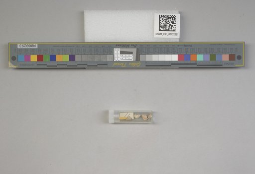 NSF ADBC EPICC TCN