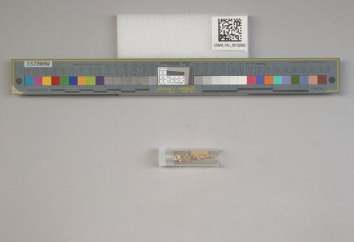 NSF ADBC EPICC TCN