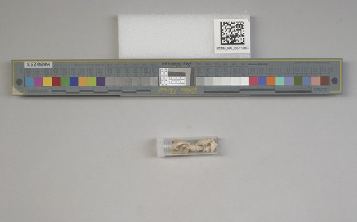 NSF ADBC EPICC TCN