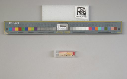 NSF ADBC EPICC TCN