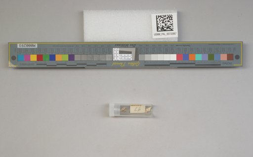 NSF ADBC EPICC TCN