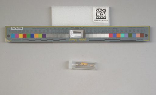 NSF ADBC EPICC TCN