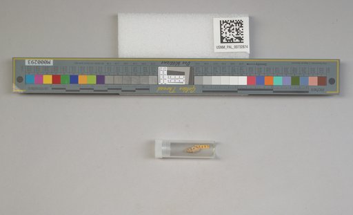 NSF ADBC EPICC TCN