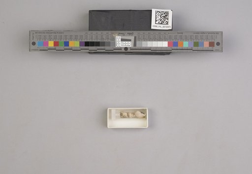 NSF ADBC EPICC TCN