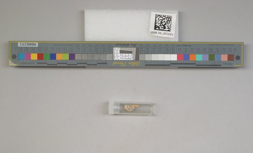 NSF ADBC EPICC TCN