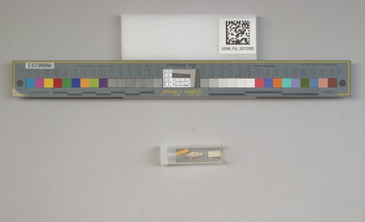 NSF ADBC EPICC TCN