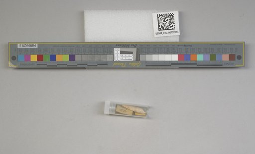 NSF ADBC EPICC TCN