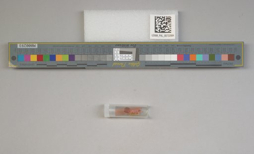 NSF ADBC EPICC TCN